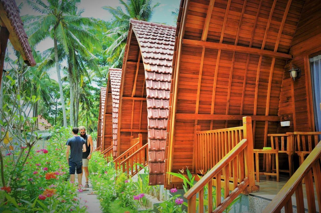 Guest house The Peace Arta
