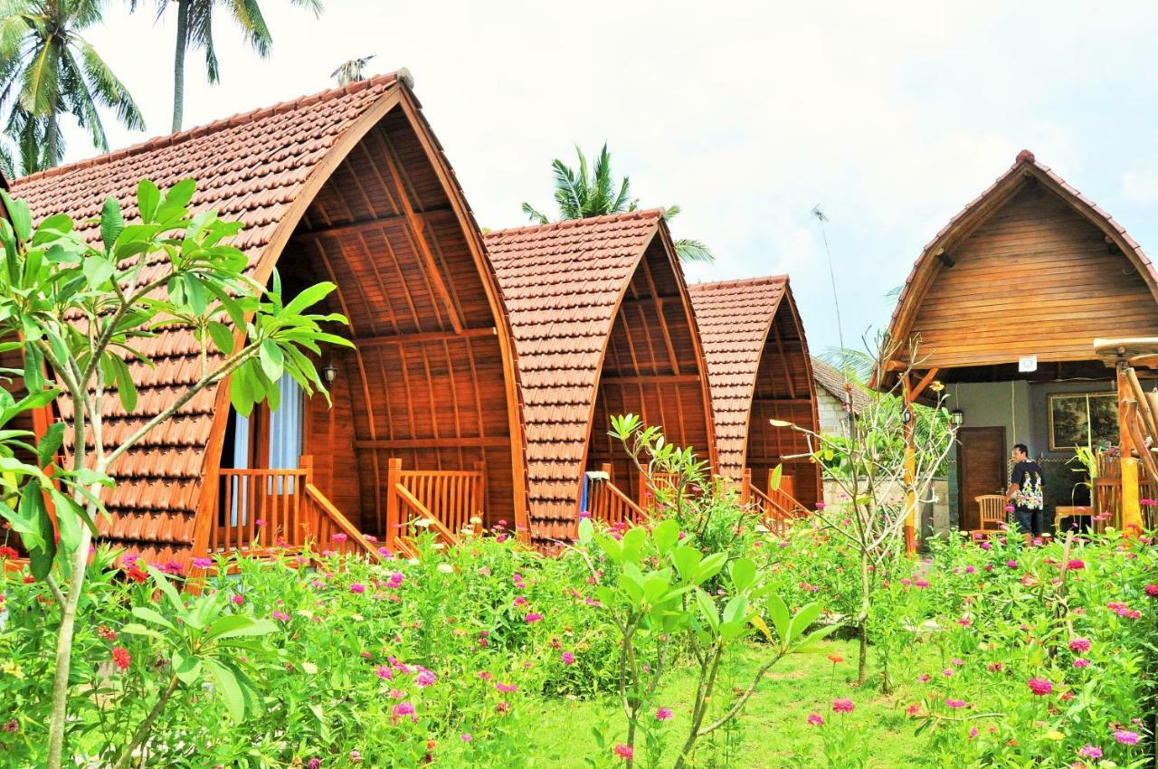 The Peace Arta Guest house